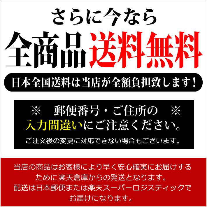 さらに今なら全商品送料無料