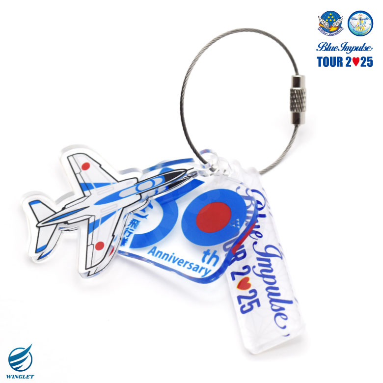 航空自衛隊 ブルーインパルス ツアー 2025 第11飛行隊 30周年記念 3連