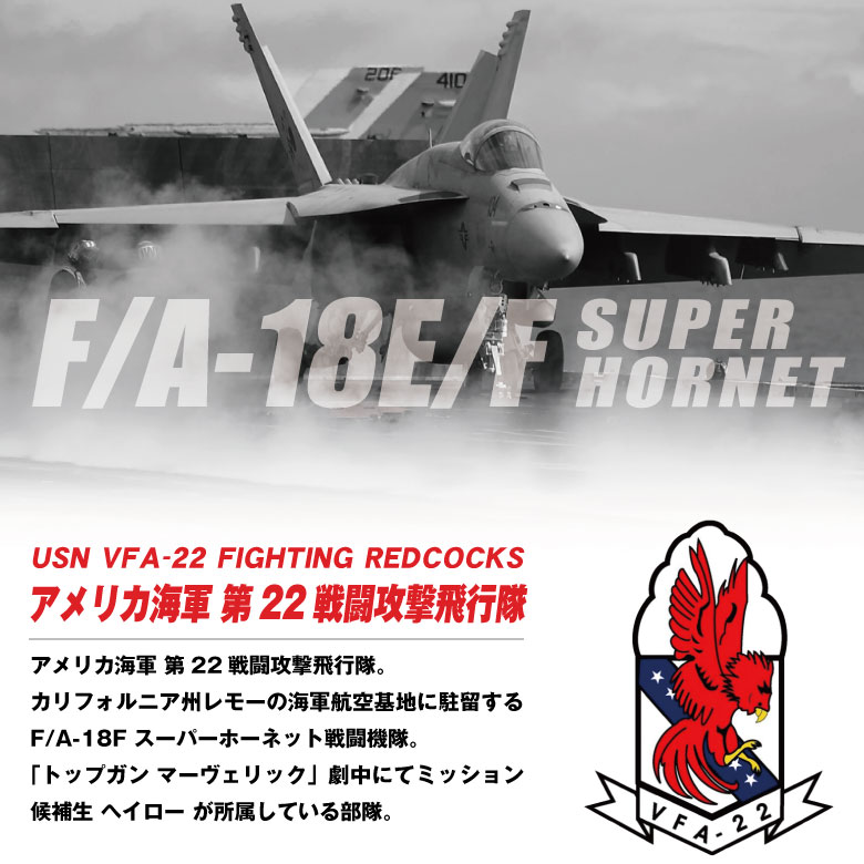 アメリカ海軍 第22戦闘攻撃飛行隊 レッドコックス FA-18 EF SUPER