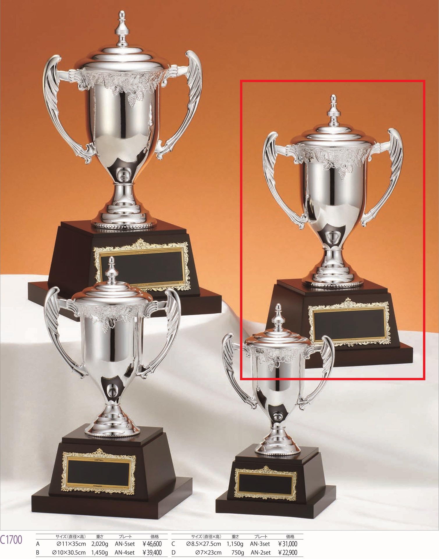 [C1700B/N-4]優勝カップ／高さ30.5cm |  | 01