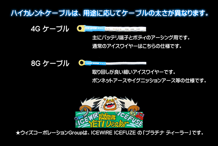 アイスワイヤーについて ウィズコーポレーション