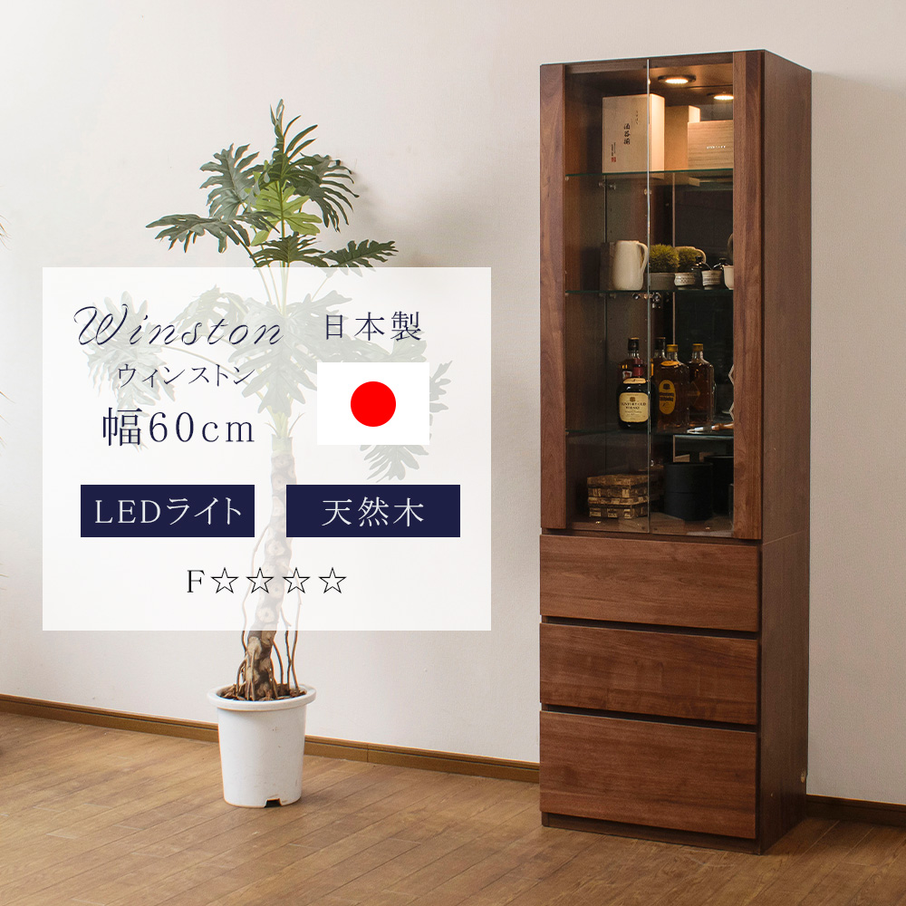 ガラスケース ウッド ショーケース 大きめ コレクションケース オブジェ コレクションケース エースⅡ 背面LED ガラス ショーケース | 店舗