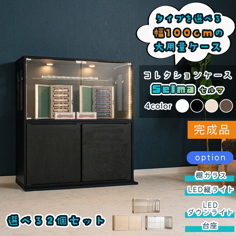 With Plan（ウィズプラン） コレクションケース 幅100cm 2点セット