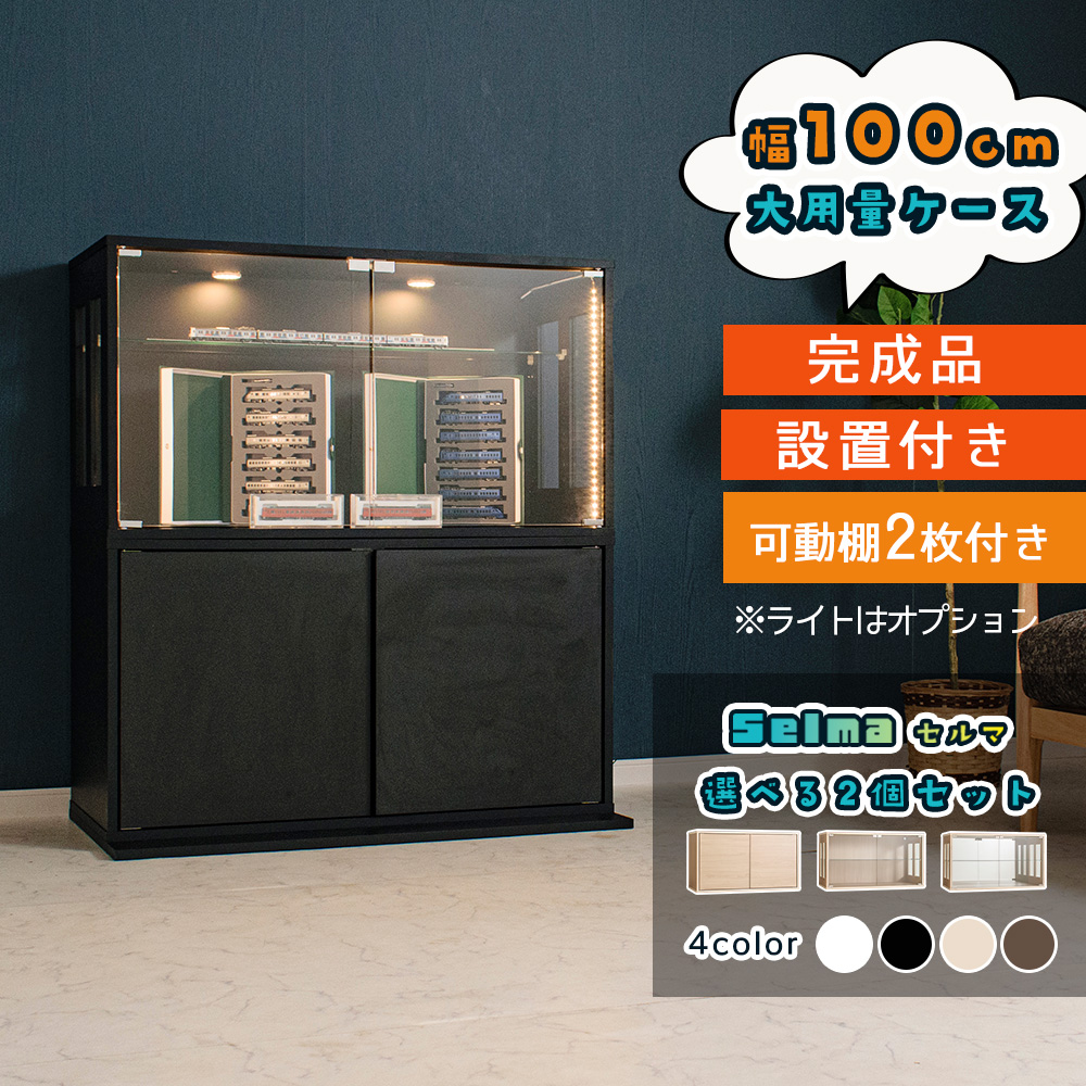 With Plan（ウィズプラン） コレクションケース 幅100cm 2点セット