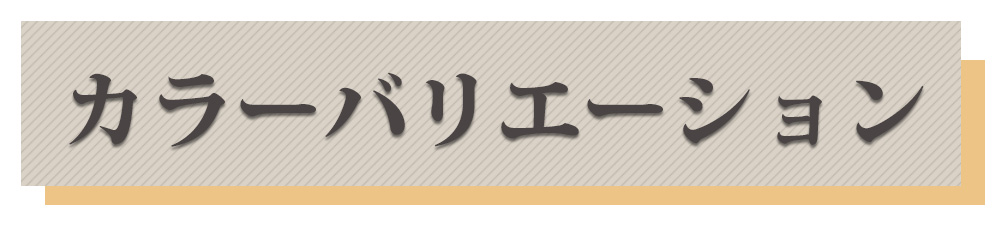 カラーバリエーション 色 4色 展開