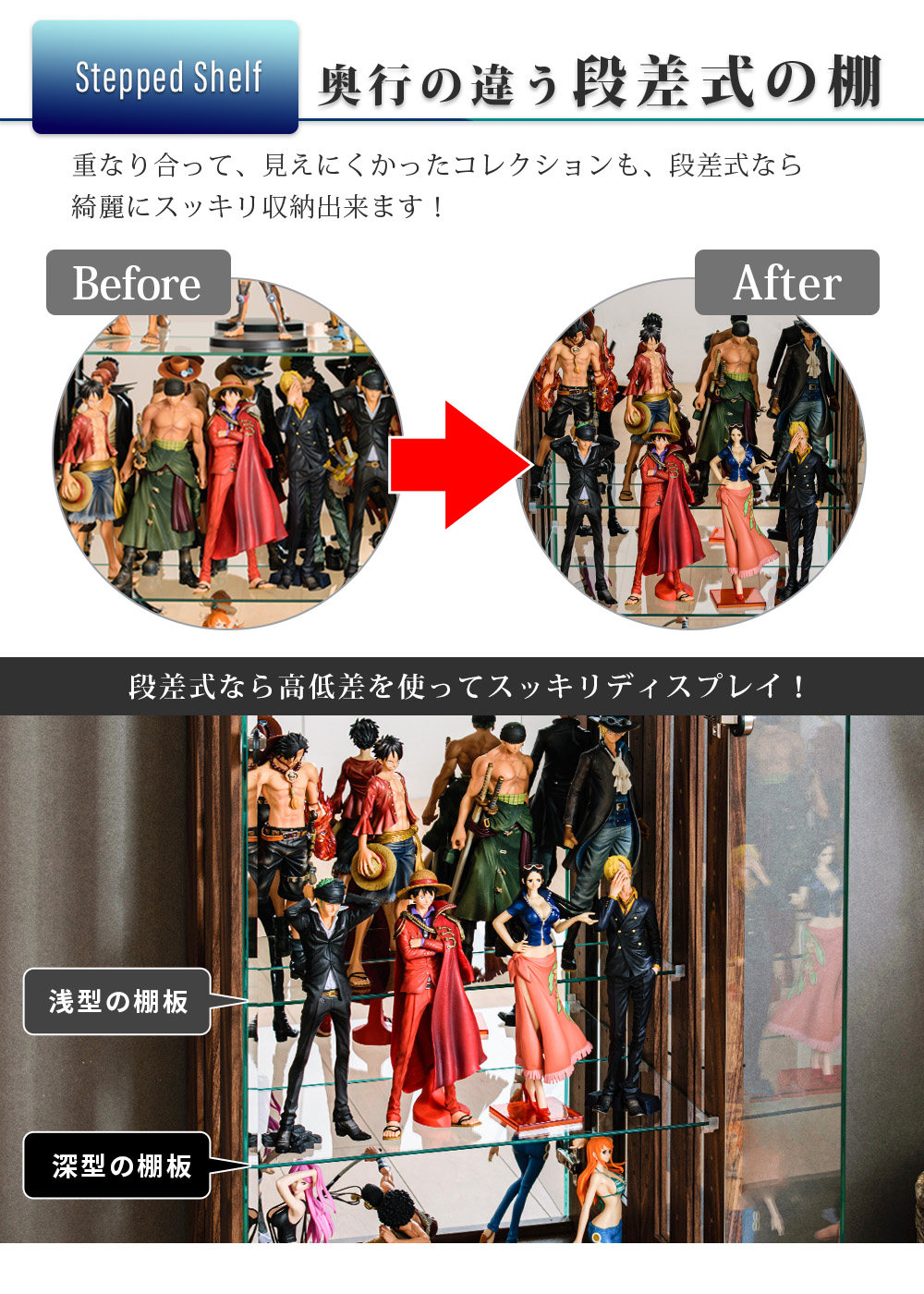 段差式 高さ調整 スッキリ収納 コレクションケース