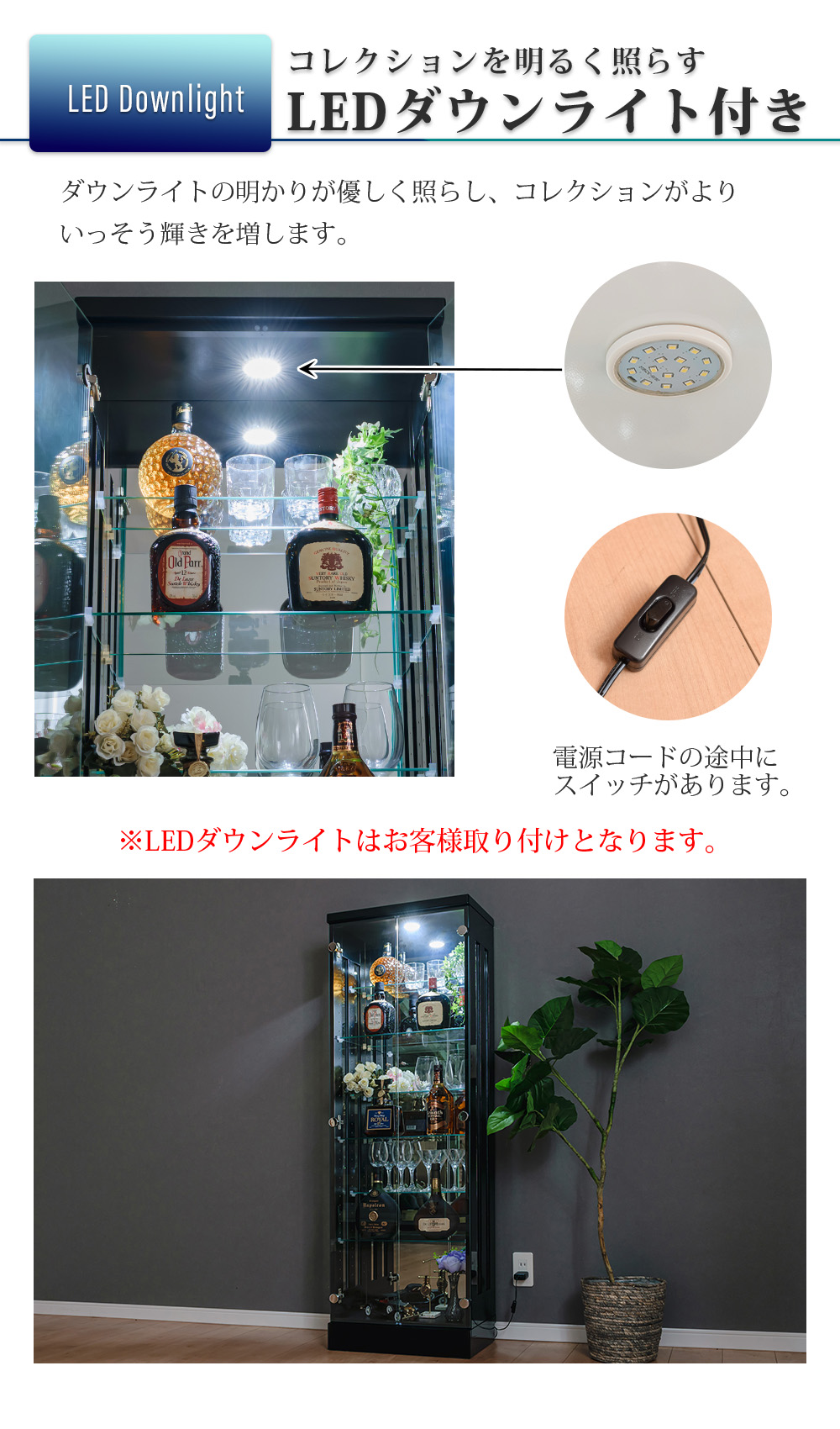 オプション LED ダウンライト 追加可能