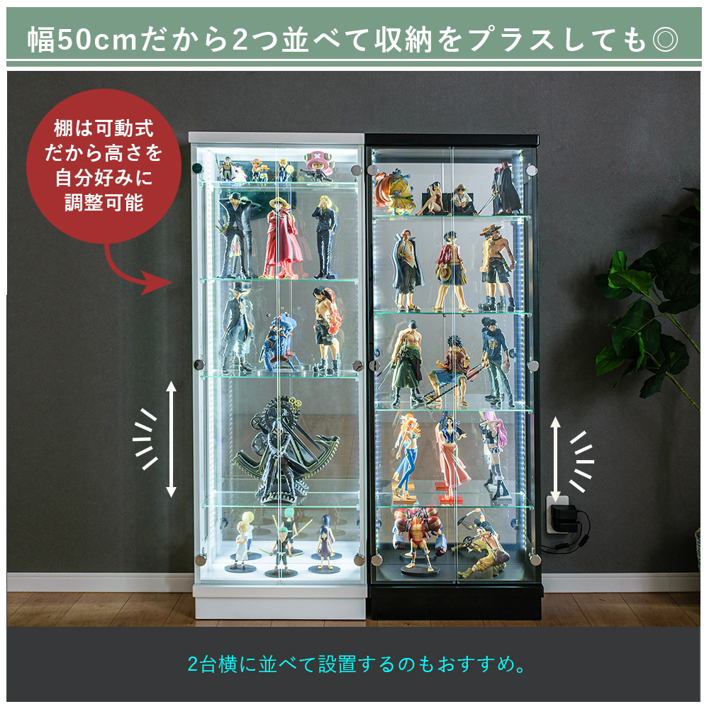 ティント・ブラス・コレクション　DVD8枚BOXセット(PAL仕様) Amazon.co.jp: ZARD プレミアム ディスク・コレクション 全国版