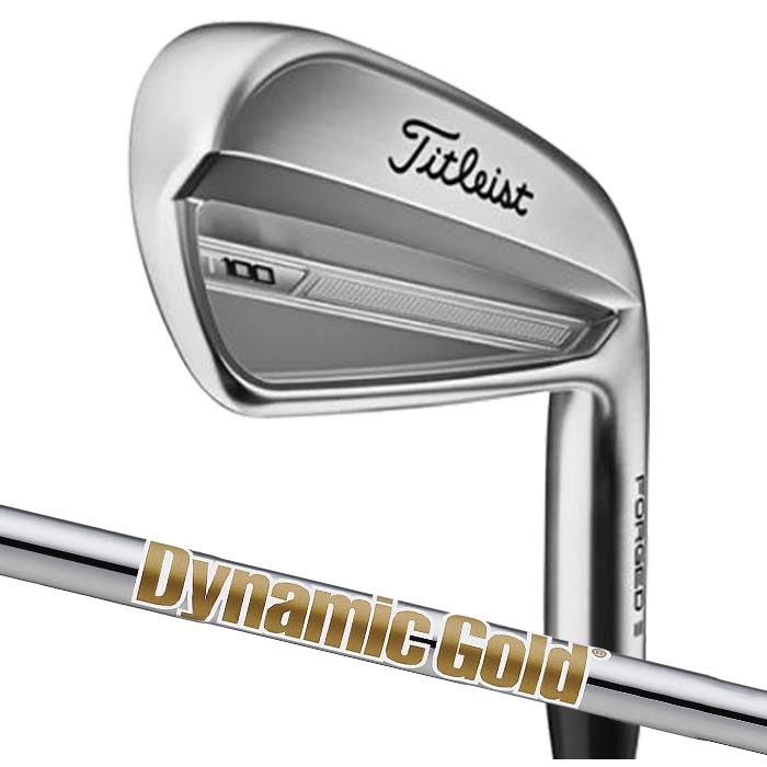 Titleist タイトリスト 2023 T100 アイアン DYNAMIC GOLD 95/105/120 単品 - 単品販売／受注生産