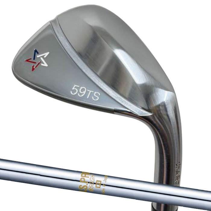 (カスタムウェッジ) アーティザン TS WEDGE  ARTISAN N.S.PRO 850