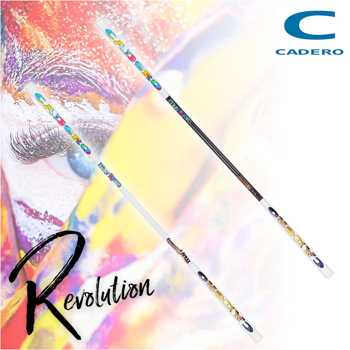 カデロ CADERO SWING STICK ゴルフ スイング練習 : ゴルフ
