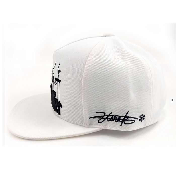 ドゥーカス DOCUS DCCP737 GG FLAT Cap 帽子 ゴルフキャップ | DOCUS | 06