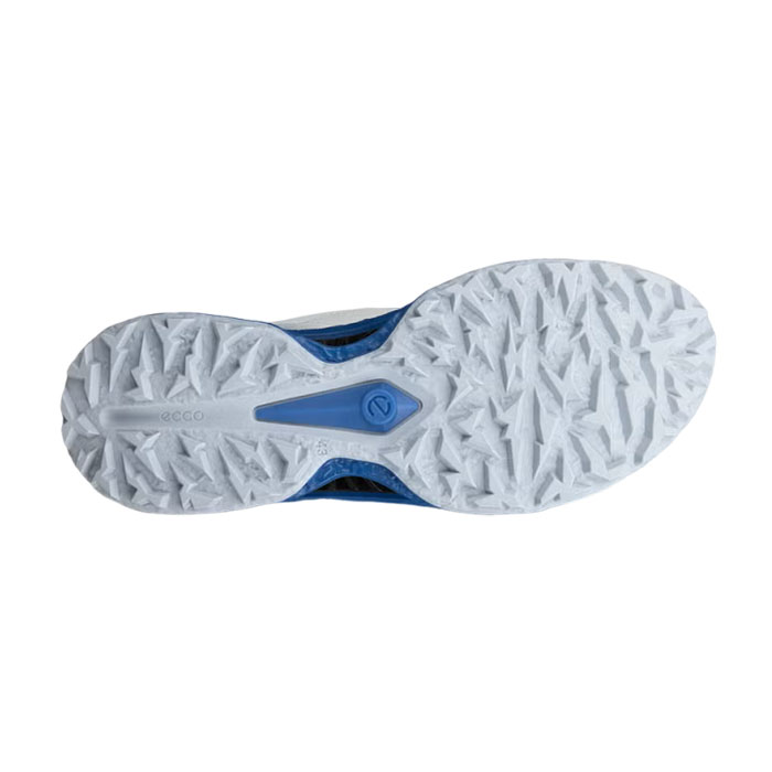ecco（エコー） ecco 132614-61583 BIOM C5 BOA スパイクレス ゴルフ