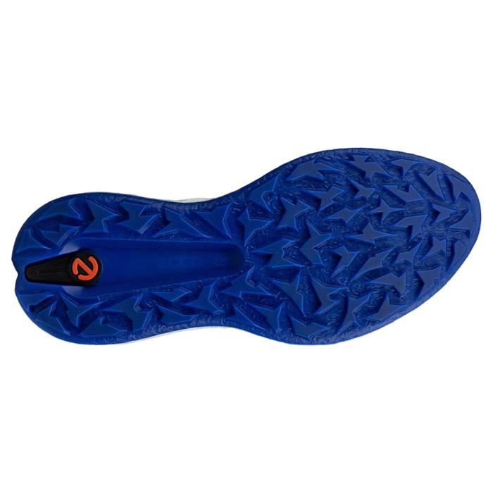 ecco（エコー） ecco 138014-01013 BIOM H5 メンズ ゴルフシューズ