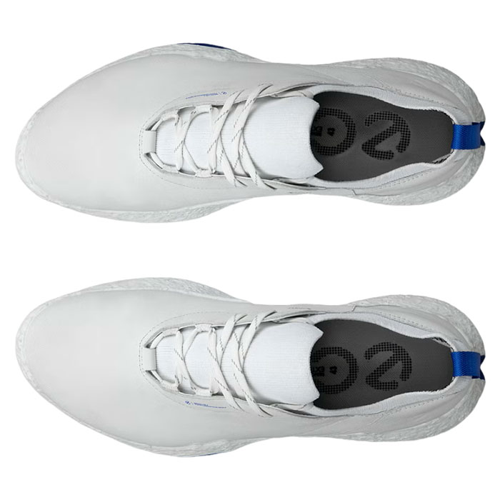 ecco（エコー） ecco 138014-01013 BIOM H5 メンズ ゴルフシューズ