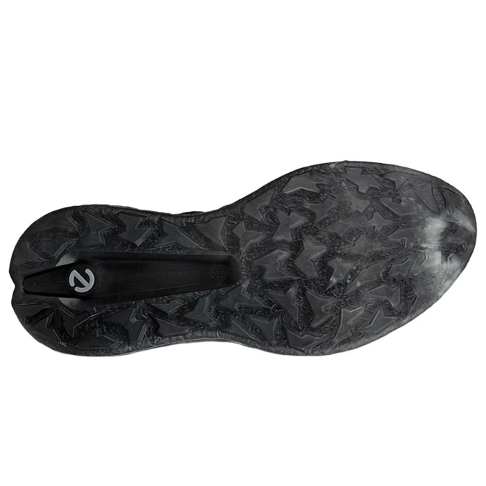 ecco（エコー） ecco 138024-01001 BIOM H5 BOA BLACK メンズ ゴルフ