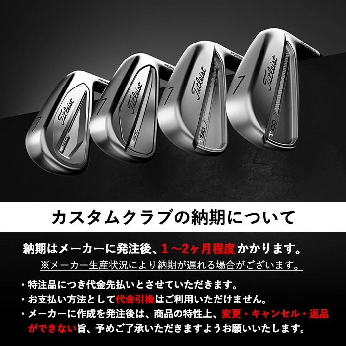 【メーカーカスタム】Titleist タイトリスト 2023 T100 アイアン DYNAMIC GOLD 95/105/120 5I〜PW(6本セット)｜wizard｜13