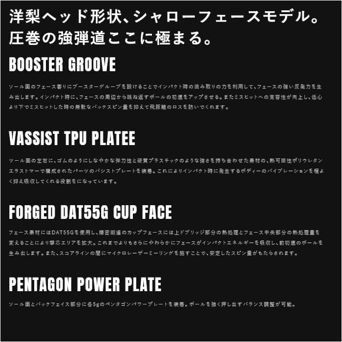 (カスタムクラブ)バルド BALDO TT DRIVER GT6 SHALLOW PROTO ドライバー ARCH CA-01Pの画像