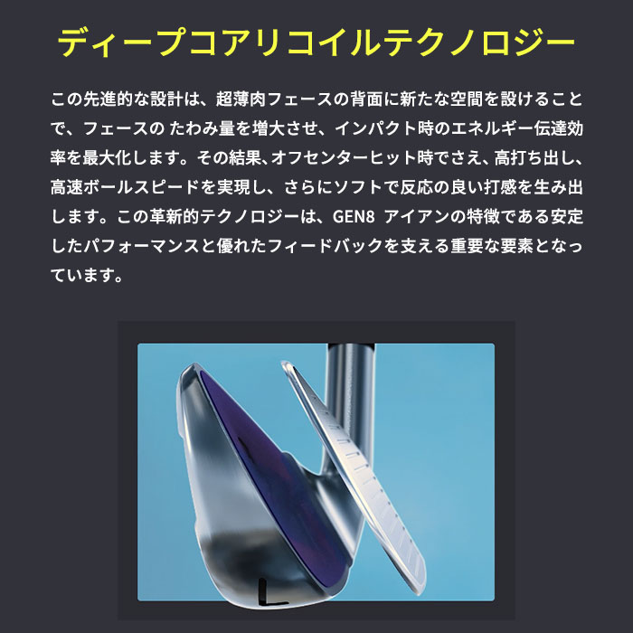 ピーエックスジー PXG 0311 XP GEN8 IRON 6I〜PW(5本セット)Dynamic Gold 105 Onyx Black (カスタムアイアン)の画像