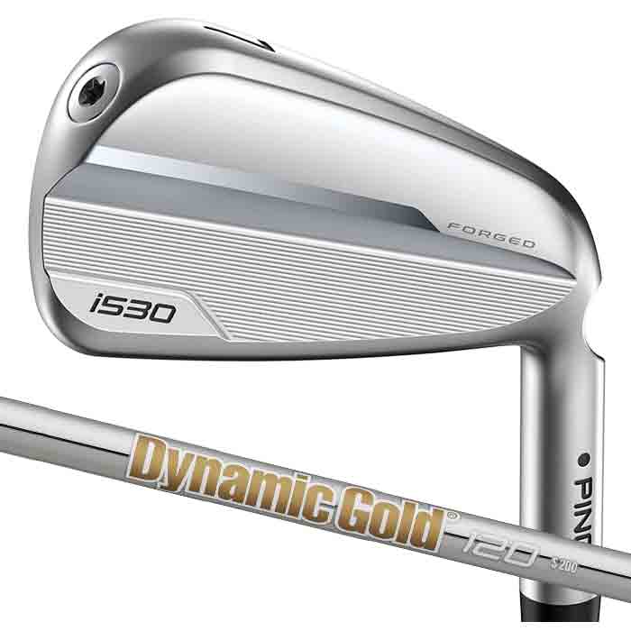 【メーカーカスタム】ピン ゴルフ PING i530 アイアン Dynamic Gold 120 5I~PW(5本セット) 日本正規品 ping I530 IRON 左右選択可 :I530 DG 120 2:ゴルフショップ ウィザード