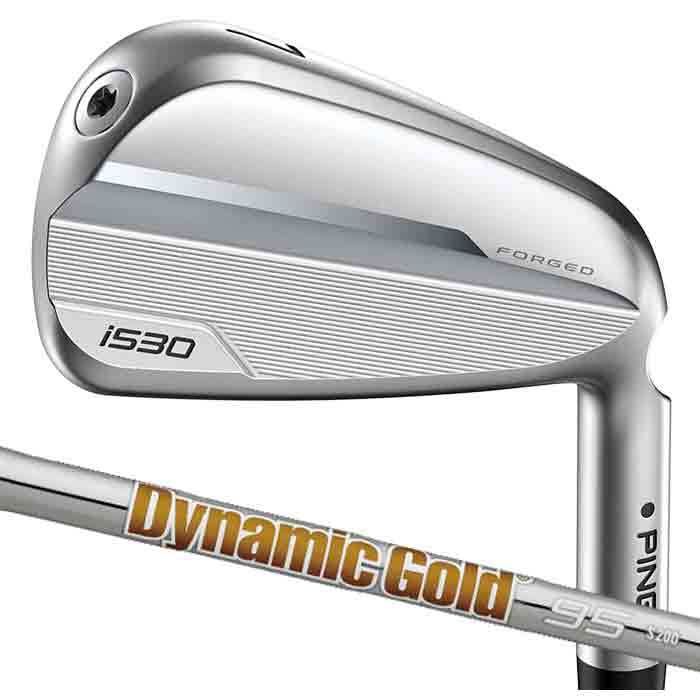 【メーカーカスタム】ピン ゴルフ PING i530 アイアン Dynamic Gold 95 5I~PW(5本セット) 日本正規品 ping I530 IRON 左右選択可 :I530 DG 95 2:ゴルフショップ ウィザード