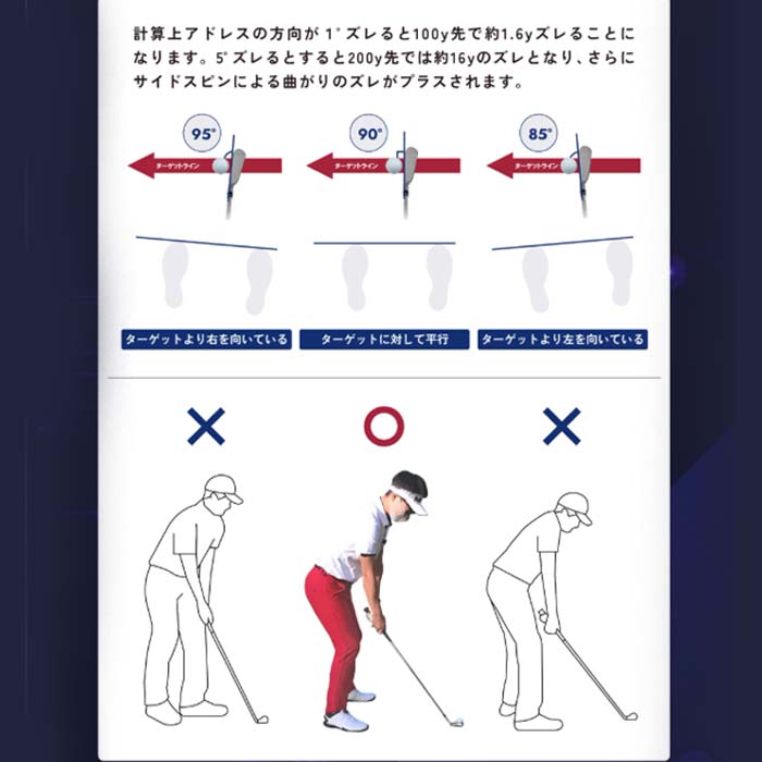Lynx（リンクス） xVic Aiming View エイミングビュー 最先端AI 練習