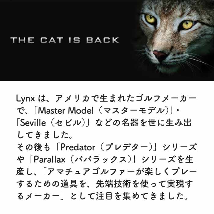 リンクス LYNX BSW バレットスリーブウェイト 標準セット ゴルフ スイング練習機具 Bullet Sleeve Weight | Lynx | 15