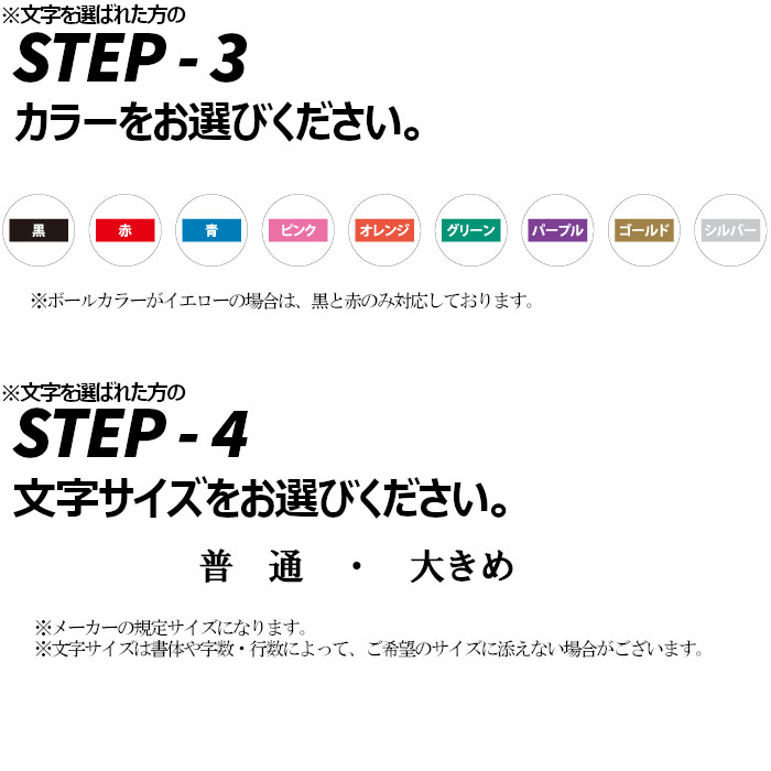 タイトリスト Titleist 2023 PRO V1 オウンネーム 2ダース 24球