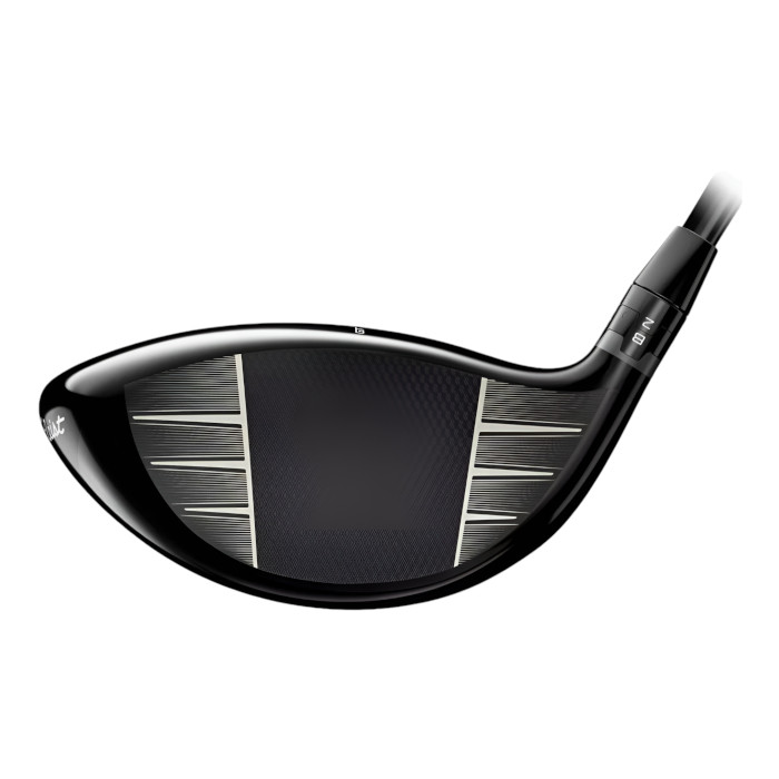 Titleist（タイトリスト） Titleist GT2 ドライバー PROJECT X DENALI