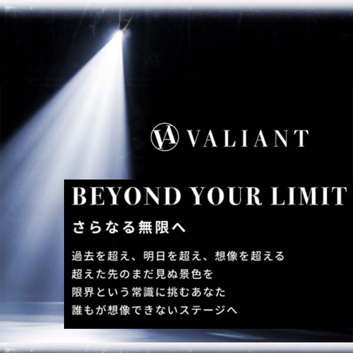 ヴァリアント ゴルフ VALIANT VAE-005BB スタンダードモデル エンブレム コレクション ボストンバッグ シェリフ姉妹ブランド | VALIANT | 14