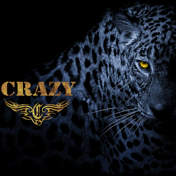 ⭐公式品⭐ クレイジー ゴルフ CRAZY 2023年 シングルタイプ スタンドキャディバッグ 9インチ オーロラ 【MYK9292290617】(33977円)