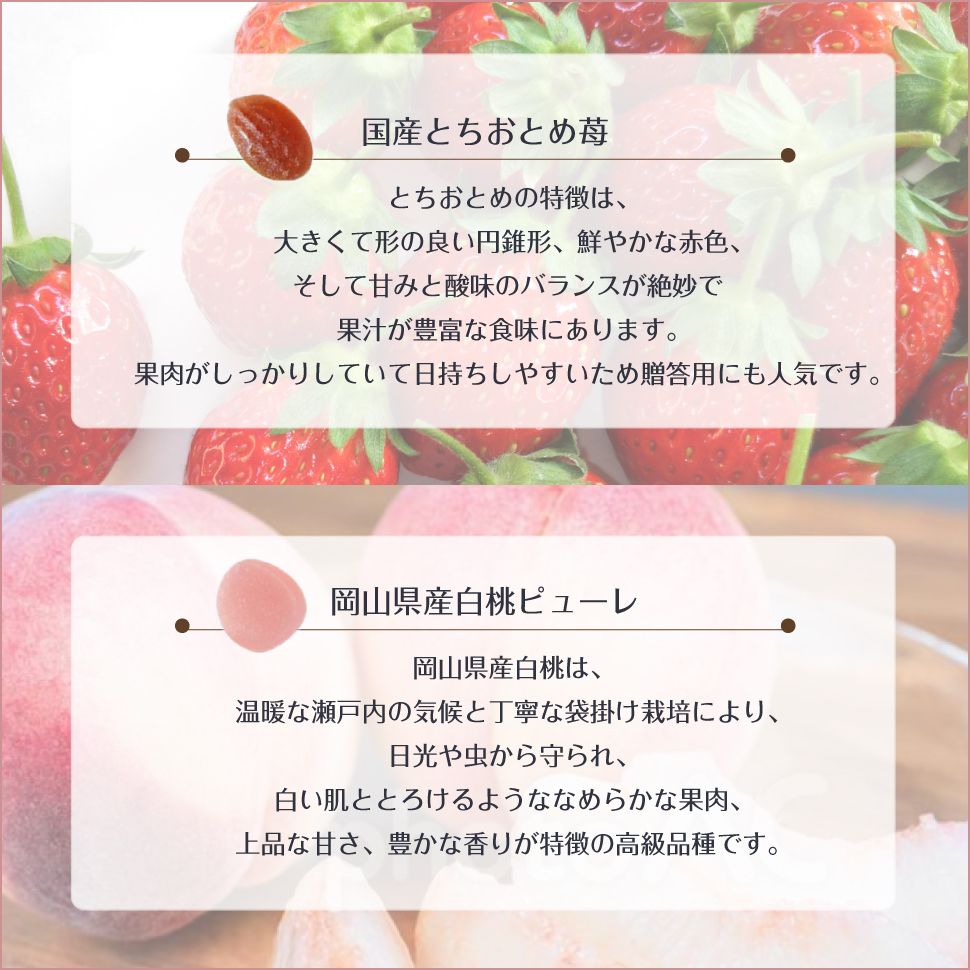 リーガロイヤルホテル（RIHGA ROYAL HOTEL） お中元 ゼリー ギフト