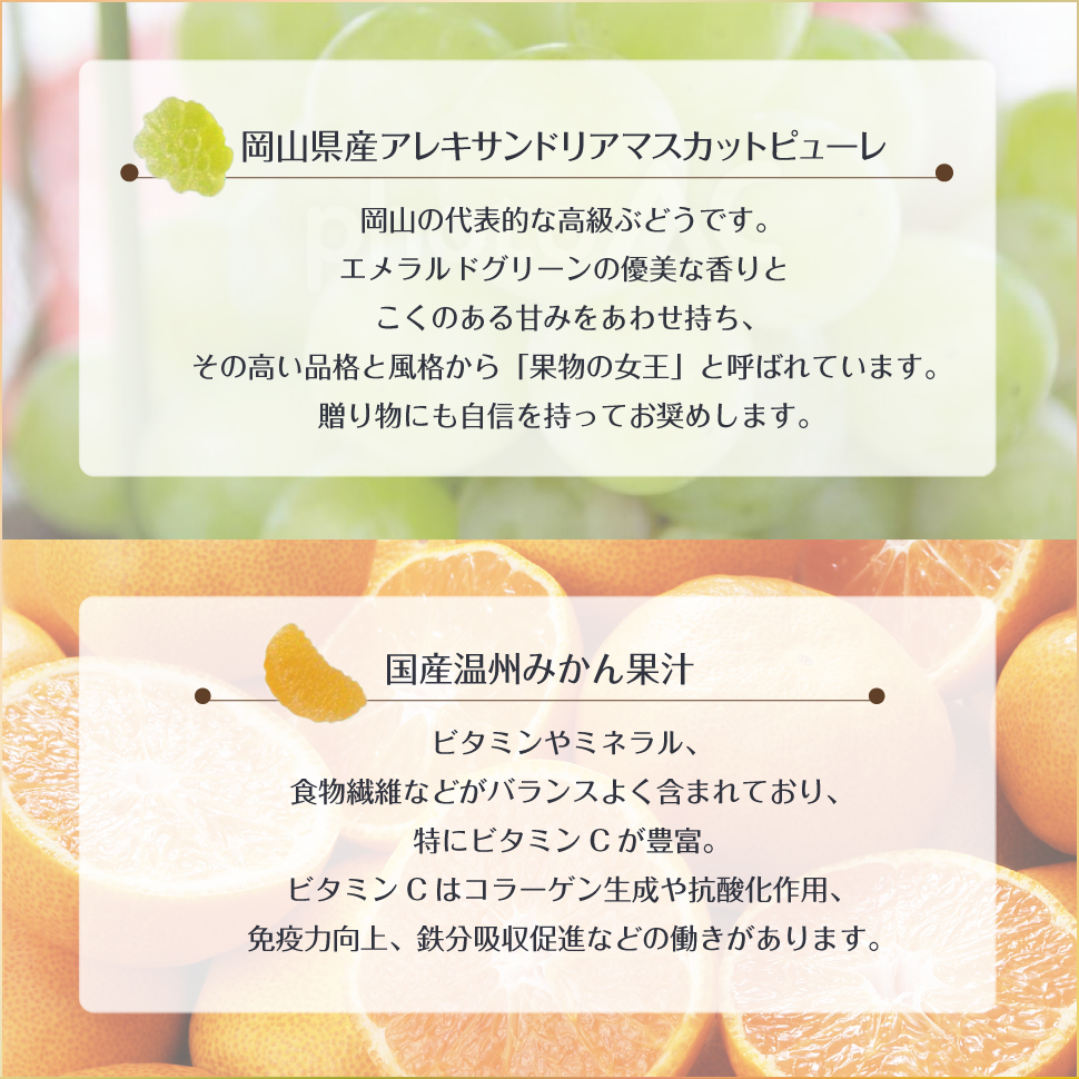 リーガロイヤルホテル（RIHGA ROYAL HOTEL） お中元 ゼリー ギフト
