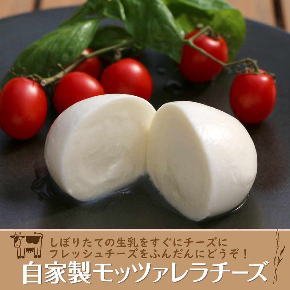チーズ＆ピザワークス 淡路島 ピザセット