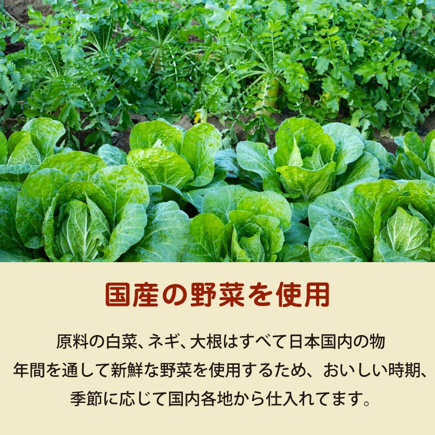 白菜キムチ 大根キムチ ネギキムチ セット