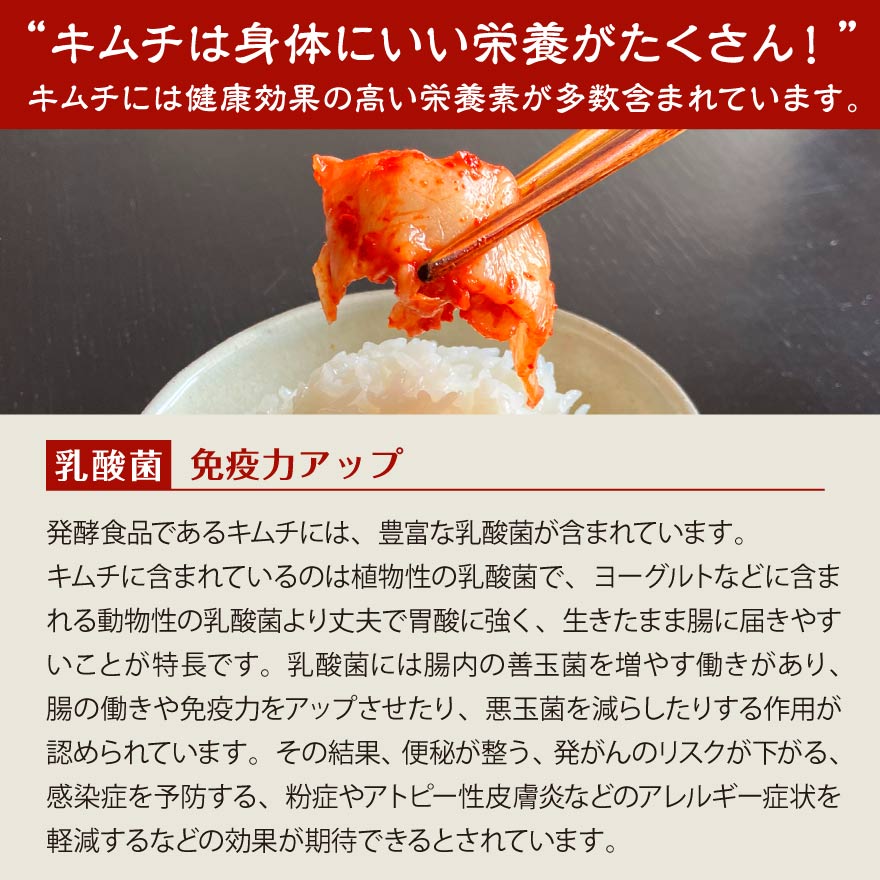 白菜キムチ 大根キムチ ネギキムチ セット
