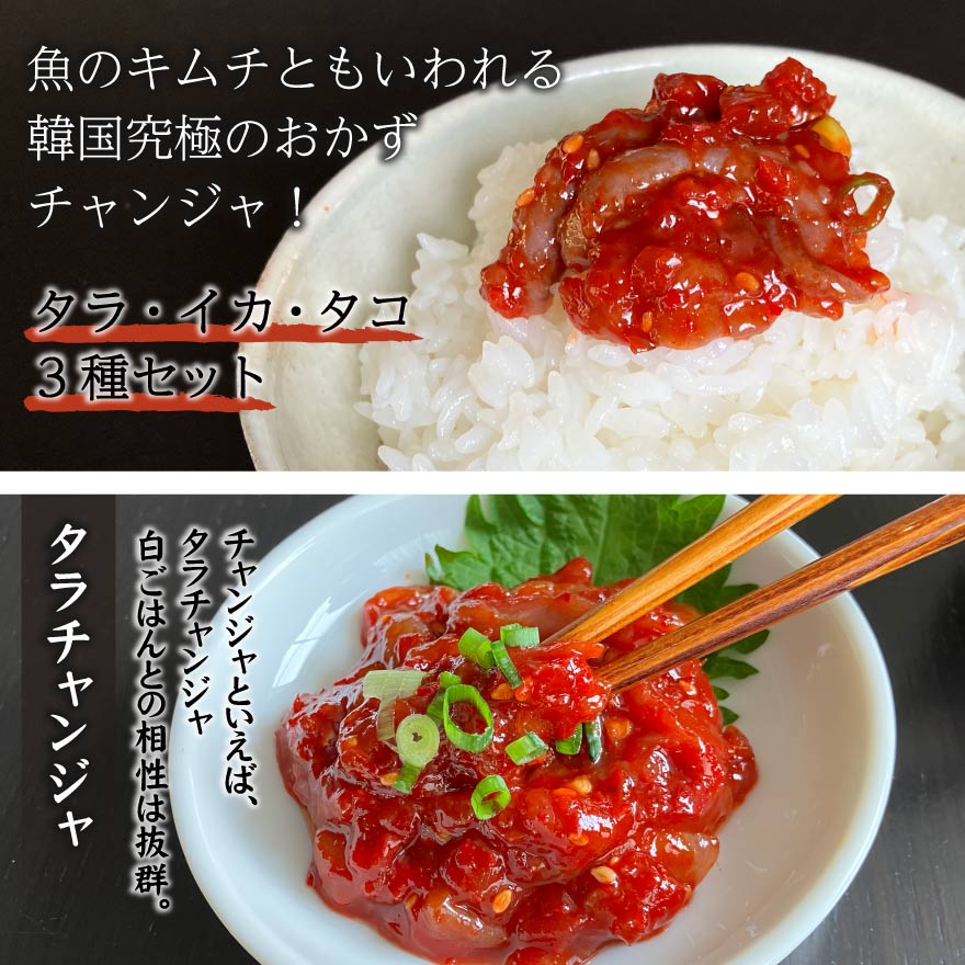 チャンジャ 3種 セット