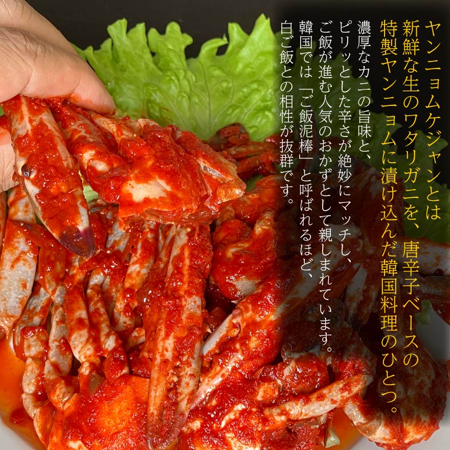 ヤンニョムケジャン