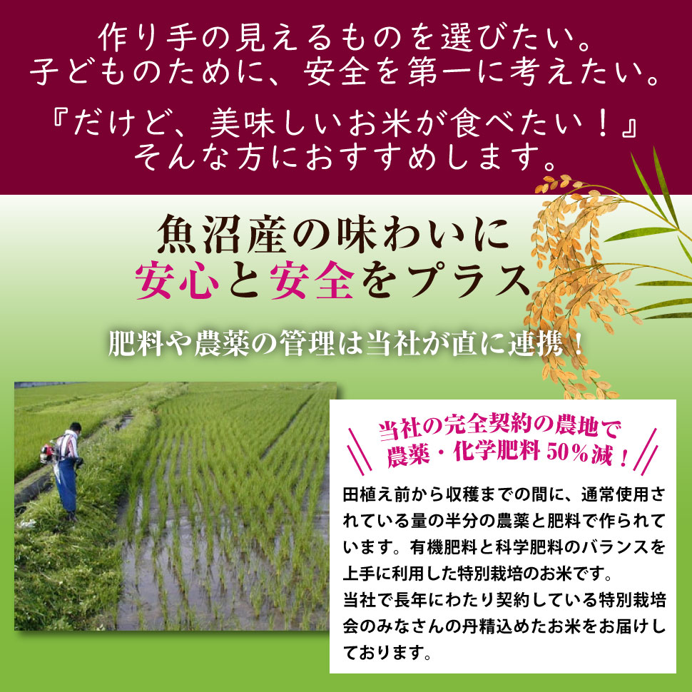 特別栽培米 魚沼産 こしひかり