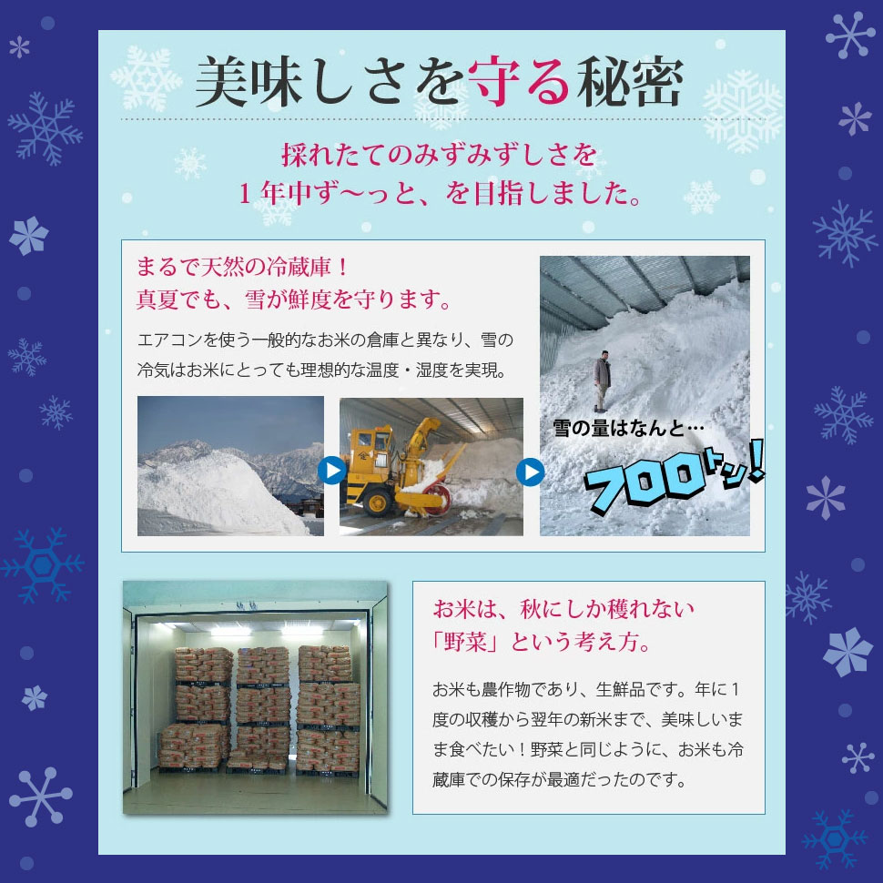 特別栽培米 魚沼産 こしひかり