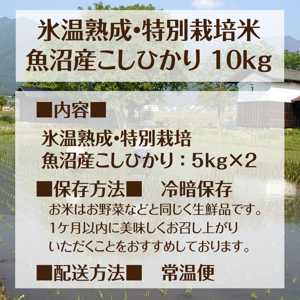 特別栽培米 魚沼産 こしひかり