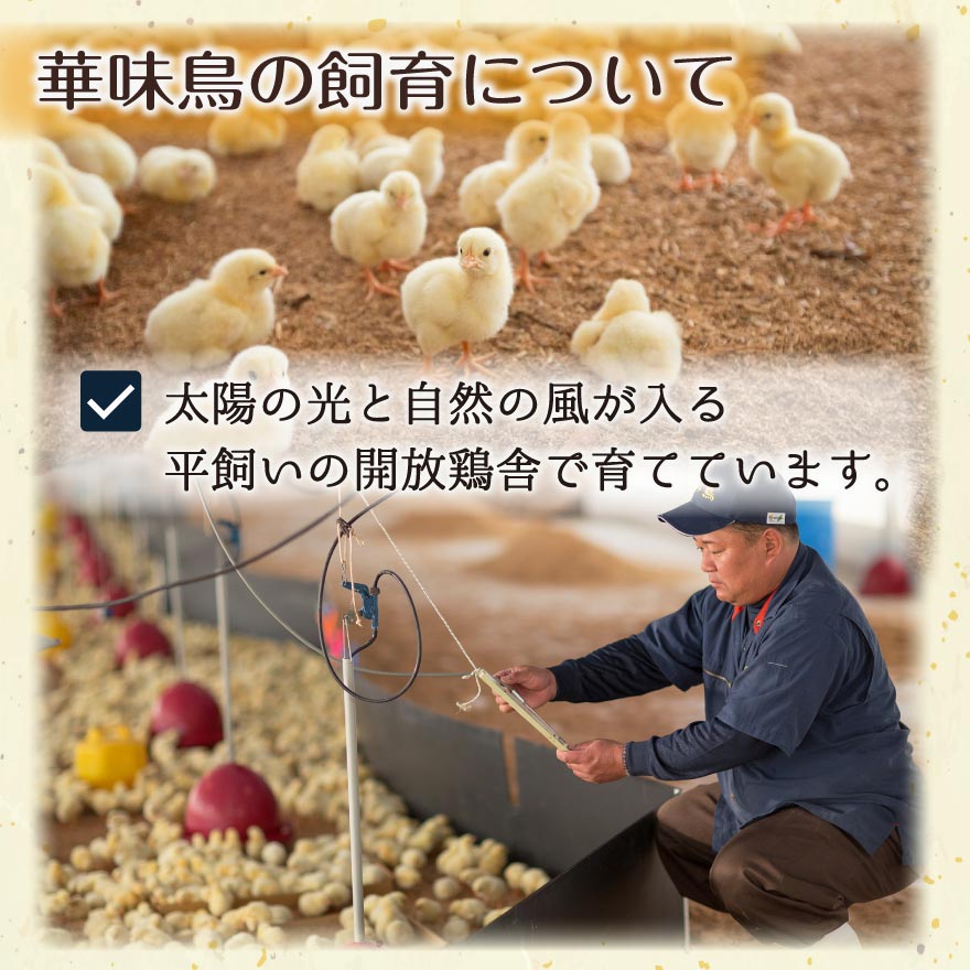 博多華味鳥 水たき セット