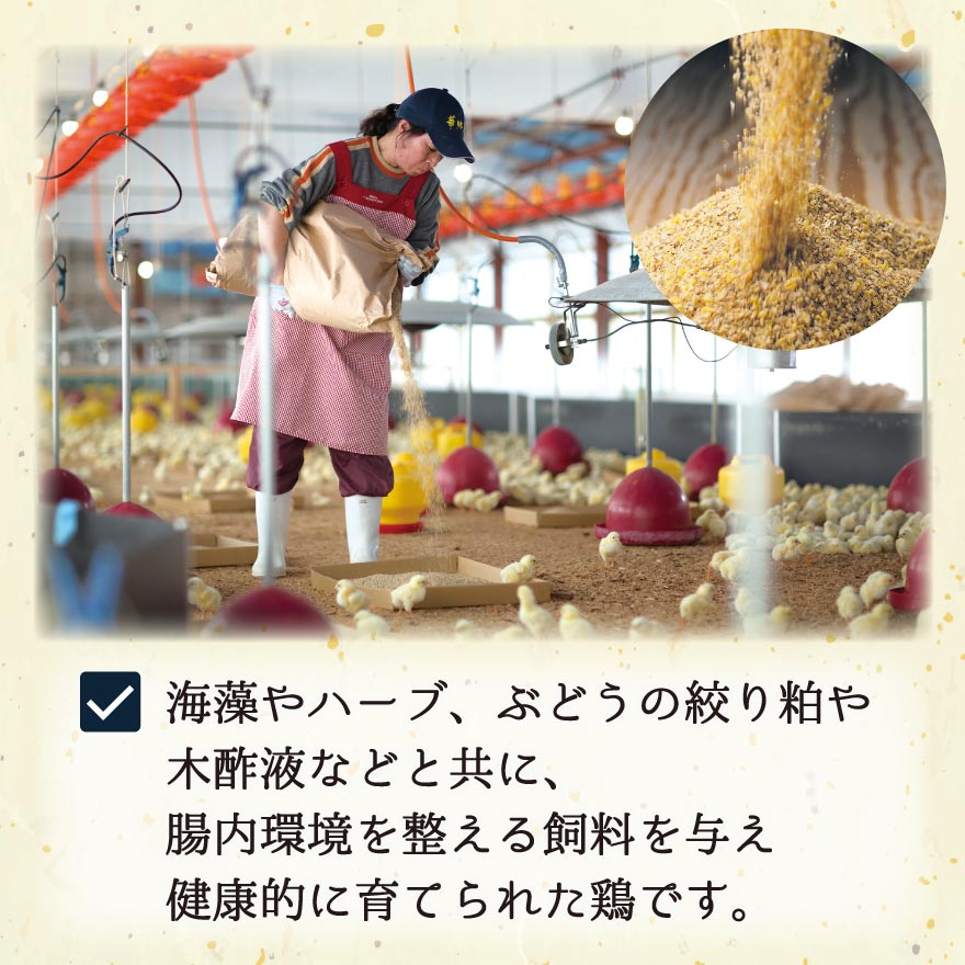 博多華味鳥 水たき セット