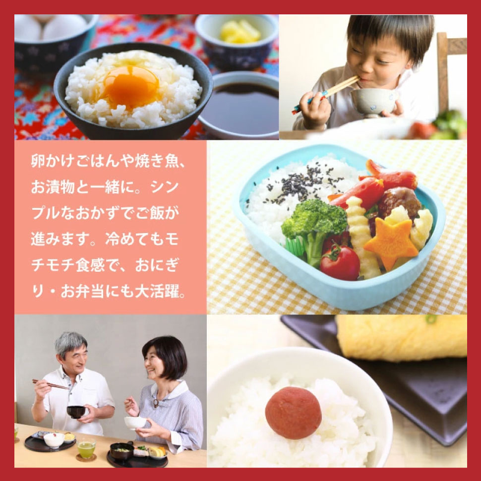 特別栽培米 魚沼産 こしひかり