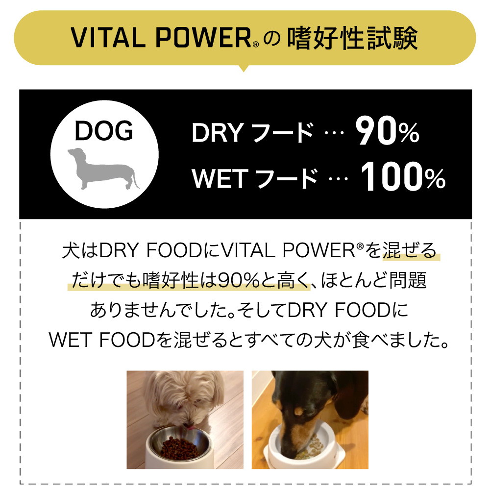 ドクターアミノ Dr. Amino'S VITAL POWER 小型犬・猫用 48袋入 <br