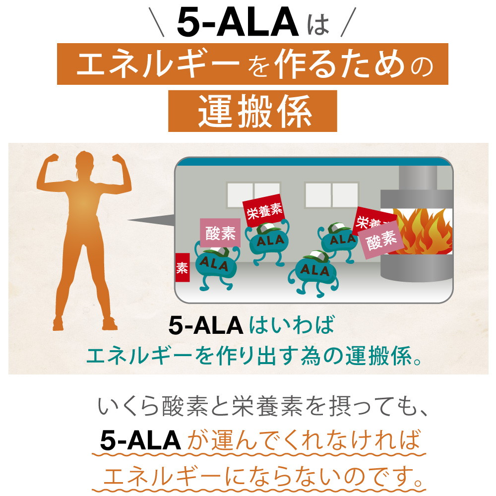 キヤンファーマ(旧ネオファーマジャパン)袋井工場製品 5-ALA 50mg 二酸化チタン不使用 遮光性に優れた植物性ブラウンカプセル 60粒  (60日分)×1 正規品 アミノ酸 : np-5-ala-50-60-1s : ウーマンジャパン - 通販 - Yahoo!ショッピング