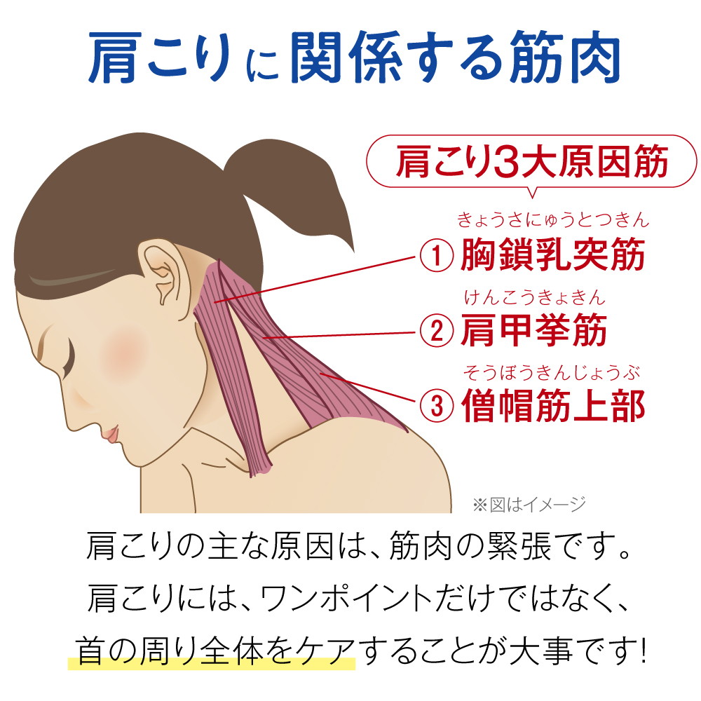送料無料 ギフト 肩こり・首こりにファイテン　RAKUWA磁気チタンネックレス X50 装着部位のこり及び血行の改善 管理医療機器