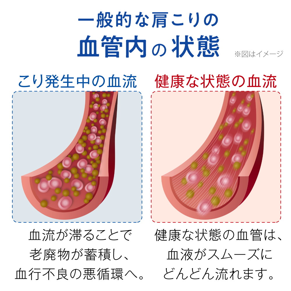 送料無料 ギフト 肩こり・首こりにファイテン　RAKUWA磁気チタンネックレス X50 装着部位のこり及び血行の改善 管理医療機器