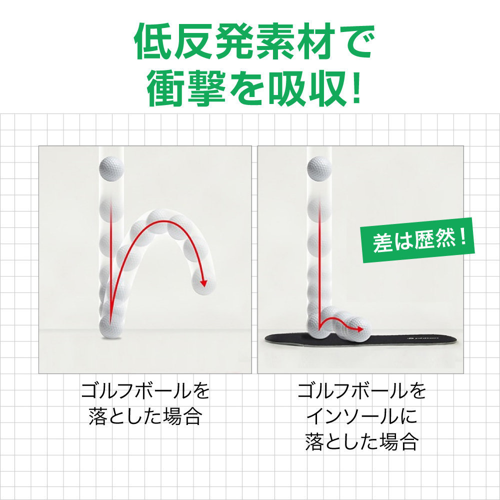 Phiten 送料無料 ファイテン インソール フラットタイプ