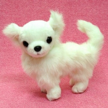 首ジョイントぬいぐるみ四立ち（チワワ/ホワイト） : 犬種別犬